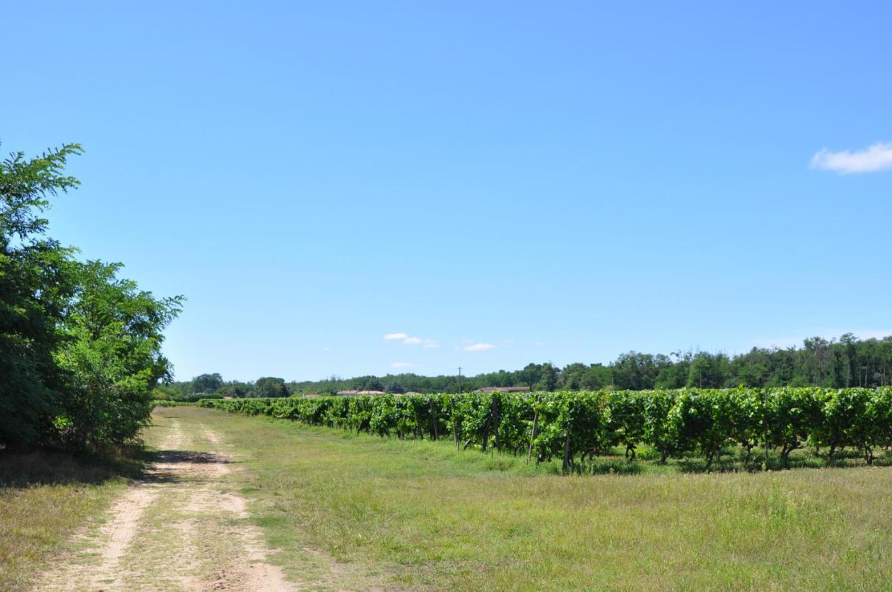 Clos San Gianni Pujols-sur-Ciron エクステリア 写真
